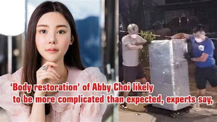 Abby Choi Before Plastic Surgery Pics, Was She Transgender? Parents And Children