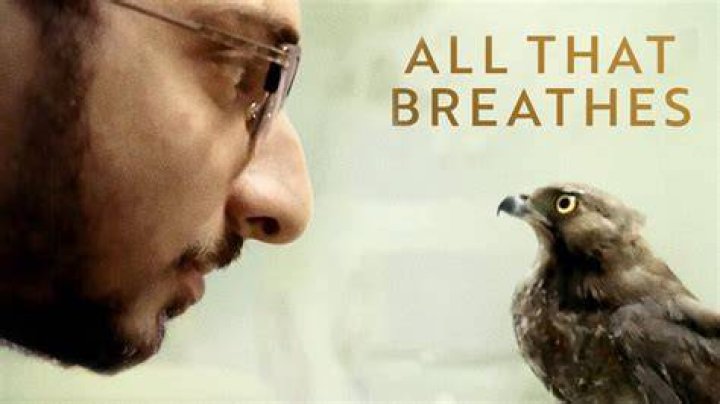 
“All That Breathes” Is Set To Releases On HBO 