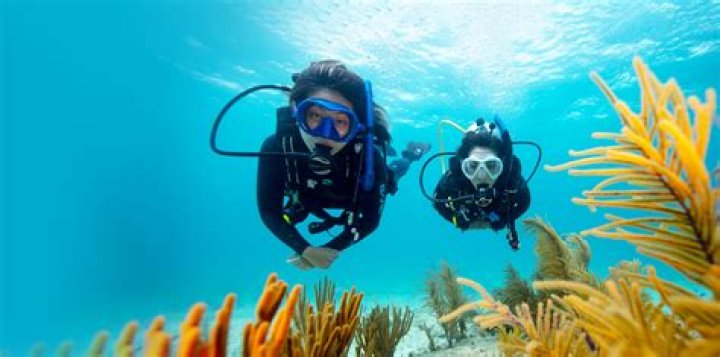 
Divi Henoch Passed Away In A Scuba Diving Accident: Obituary And Funeral Details 