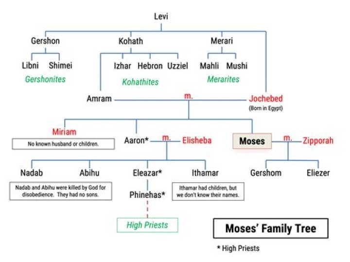 Does Moses Storm Have A Sister? Siblings – Were His Parents Cult Members?