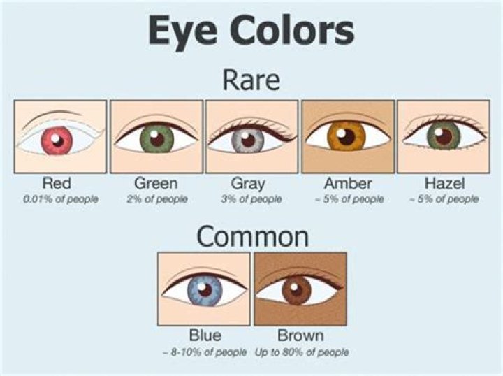 Fans Notice That Kendrick Sampson Has One Of The Rarest Eye Color