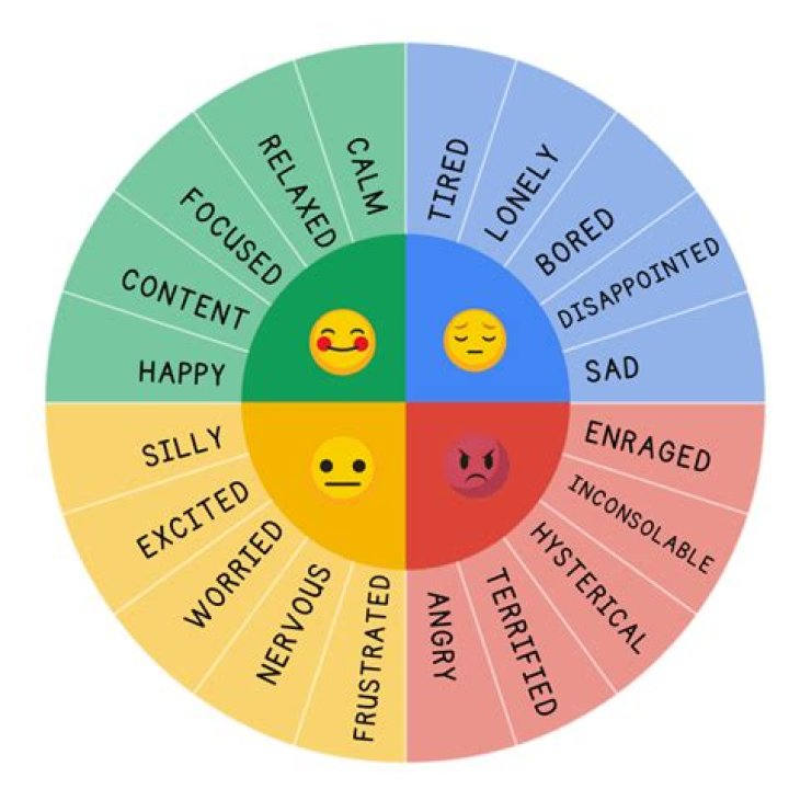 
How To Play “What Human Emotion Are You Quiz” On TikTok And Buzzfeed? 