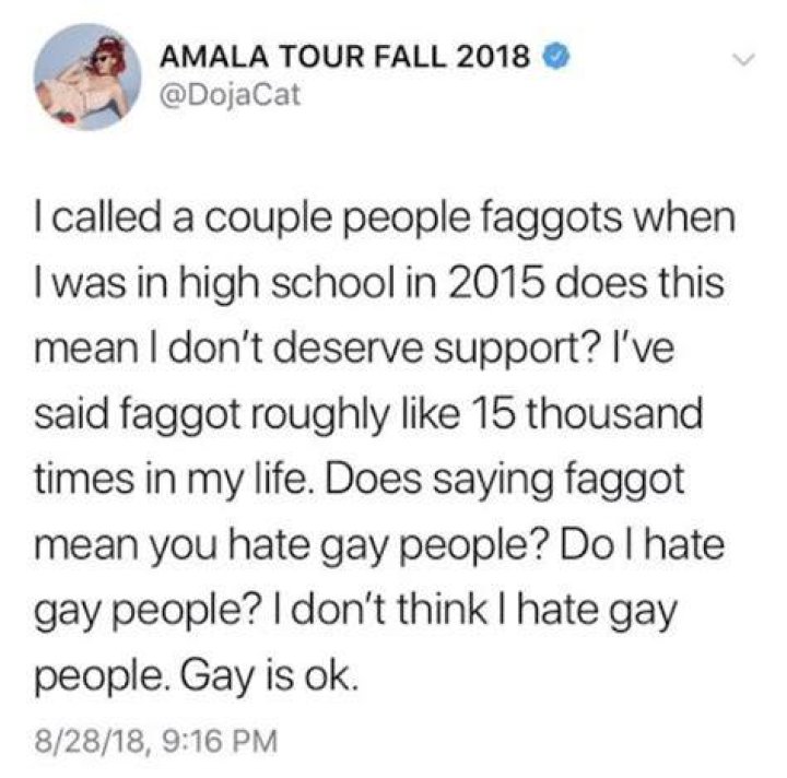 Is Doja Cat Gay or Bi? A Look at Her Sexuality and Girlfriend