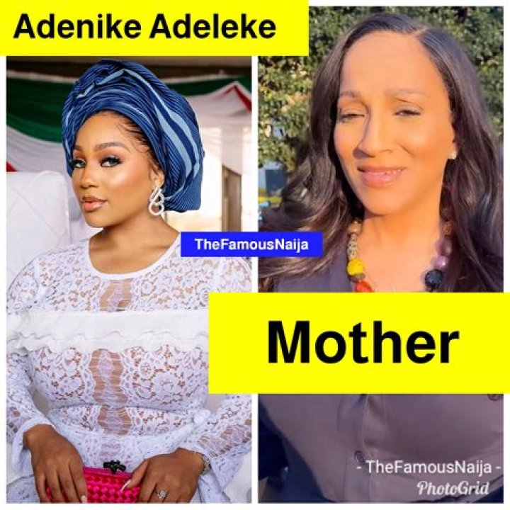Remi Adeleke Wikipedia And Age | Meeth His Father Adebayo Adeleke