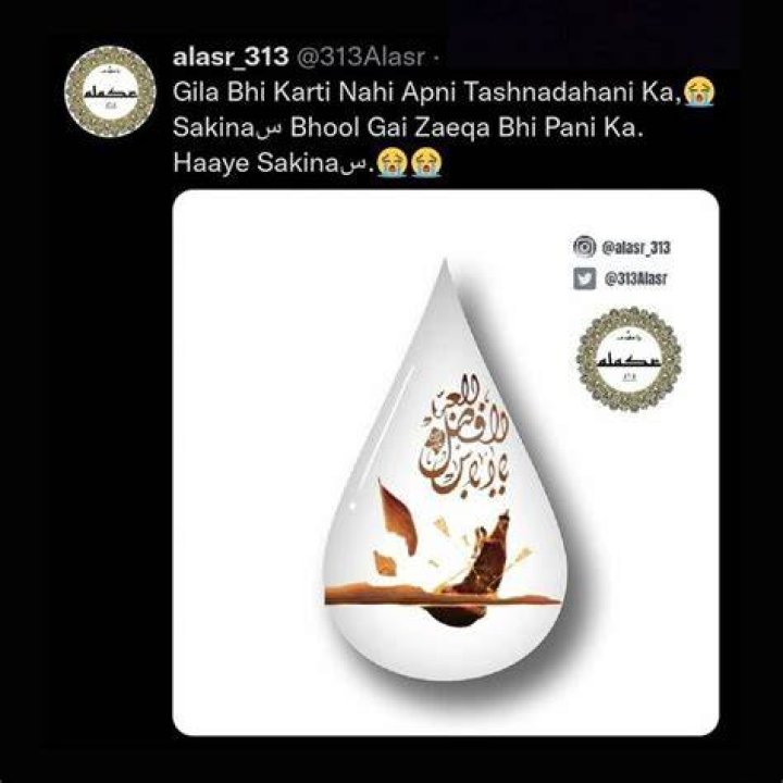 
Sakina Bibi Age, Facts, Wikipedia, Who, Nationality, Biography 