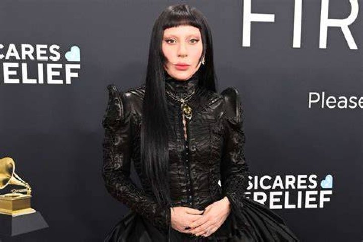 
What does Lady Gaga and Bruce Cohen-led President’s Committee on the Arts and the Humanities do? 
